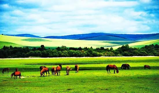 内蒙古，大美草原的赋颂