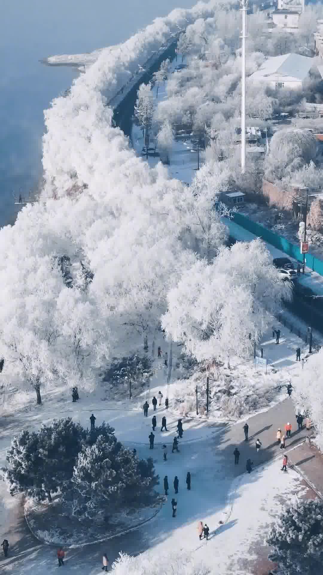 吉林岁月，我的青春足迹之旅