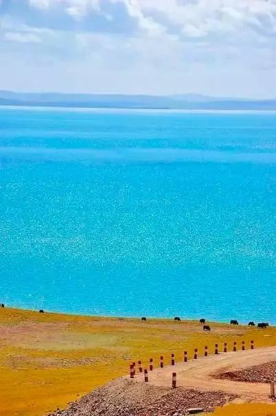 青海之光，高科技产品引领未来生活新篇章