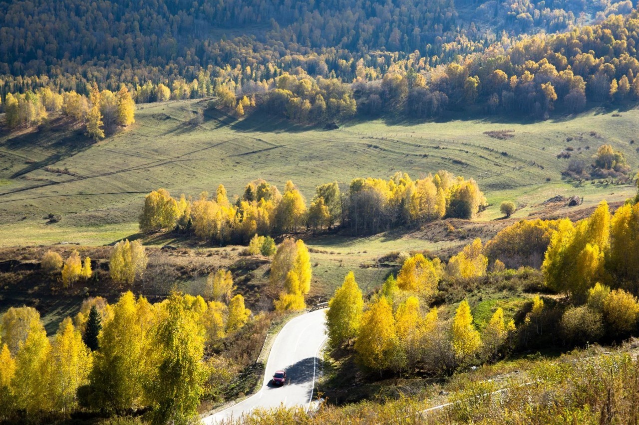 新疆的魅力与风情